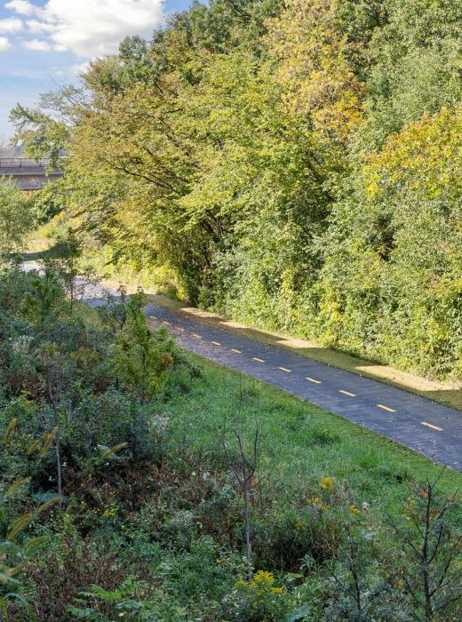 Rose street bike path near Rowe Residences